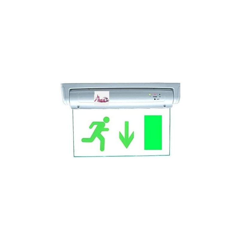 Abbasali Exit Down Green Sign In Clear Light Board 230V With Battery Backup