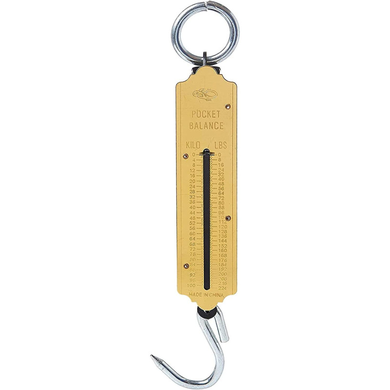 Abbasali Pocket Balance 100Kg Weight Scale
