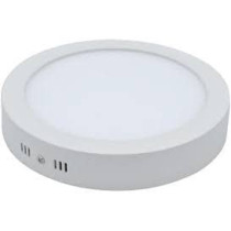 Abbasali Round Surface Led Ceiling Panel Light 30W 10 Inch Warmwhite
