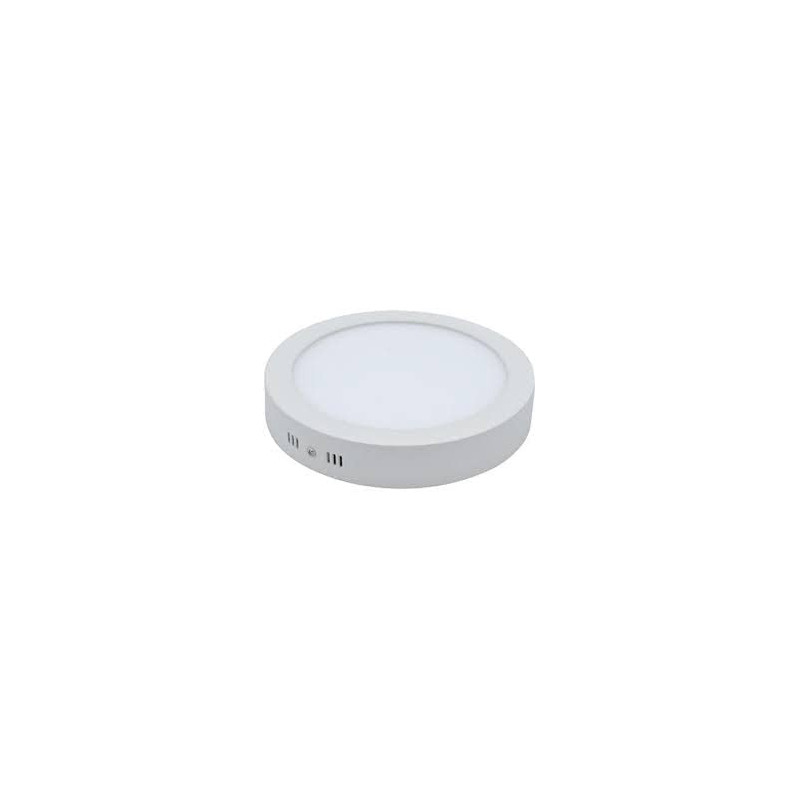Abbasali Round Surface Led Ceiling Panel Light 30W 10 Inch Warmwhite
