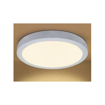 Abbasali Round Surface Led Ceiling Panel Light 30W 10 Inch Warmwhite