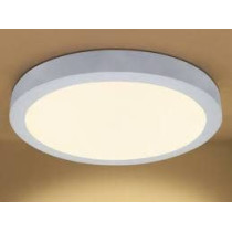 Abbasali Round Surface Led Ceiling Panel Light 30W 10 Inch Warmwhite