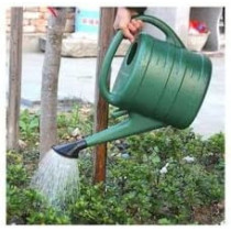 Abbasali Watering Can 10 Liter Large Capacity Watering Can Detachable Nozzle Equipment
