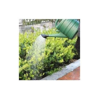 Abbasali Watering Can 10 Liter Large Capacity Watering Can Detachable Nozzle Equipment