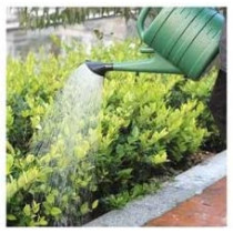 Abbasali Watering Can 10 Liter Large Capacity Watering Can Detachable Nozzle Equipment