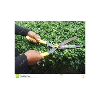 Abbasali Watering Can 10 Liter Large Capacity Watering Can Detachable Nozzle Equipment