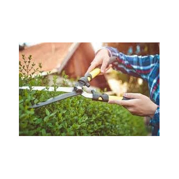 Abbasali Watering Can 10 Liter Large Capacity Watering Can Detachable Nozzle Equipment