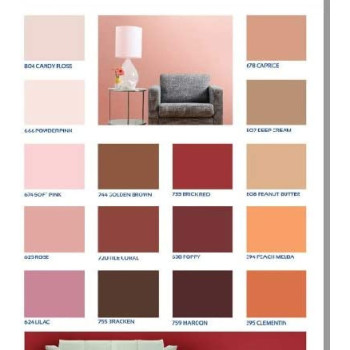 National Paint Eggshell Emulsion Silk Finish 638 Poppy