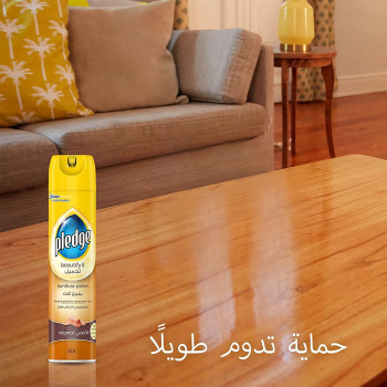 Pledge Furniture Polish Original 300Ml