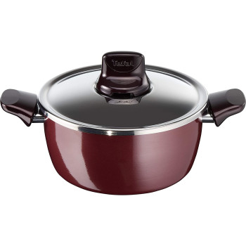 Tefal Pleasure Non Stick 24 Cm Stew Pot With Lid Red Aluminum D5024662