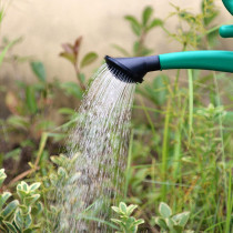 5L Plastic Watering Can For Gardening Essential Lightweight Watering Can With Long Spout 3 In 1 Detachable
