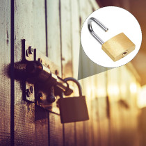 Abbasali Mini Padlock Small Padlock Brass Finish Locks With 3 Keys For Luggage Lock Backpack6 Pcs