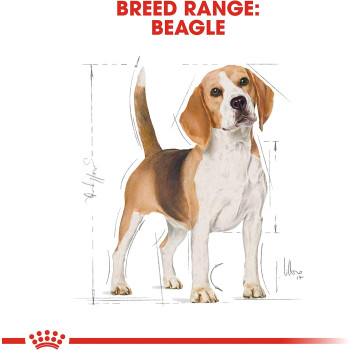 Royal Canin Breed Health Nutrition Beagle Adult 3 KG