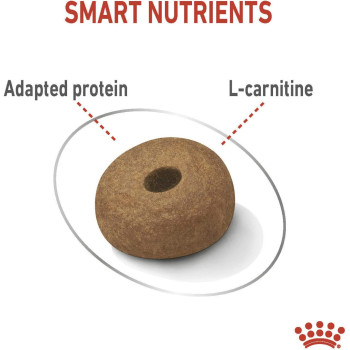 Royal Canin Canine Care Nutrition Maxi Light Weight Care,  Dog Food 12 Kg