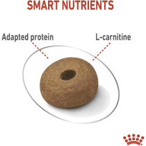 Royal Canin Canine Care Nutrition Maxi Light Weight Care,  Dog Food 12 Kg