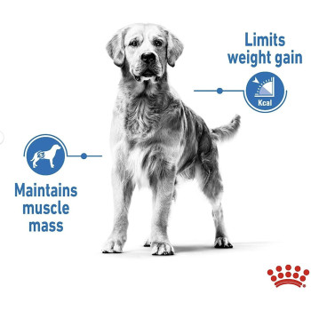 Royal Canin Canine Care Nutrition Maxi Light Weight Care,  Dog Food 12 Kg