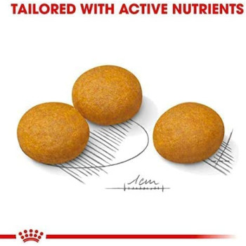 Royal Canin Canine Care Nutrition Maxi Dermacomfort 12 KG