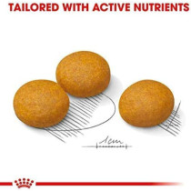 Royal Canin Canine Care Nutrition Maxi Dermacomfort 12 KG