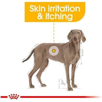 Royal Canin Canine Care Nutrition Maxi Dermacomfort 12 KG
