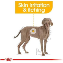 Royal Canin Canine Care Nutrition Maxi Dermacomfort 12 KG