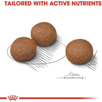 Royal Canin Canine Care Nutrition Medium Digestive Care 12 KG