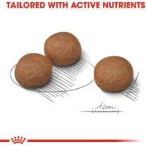 Royal Canin Canine Care Nutrition Medium Digestive Care 12 KG