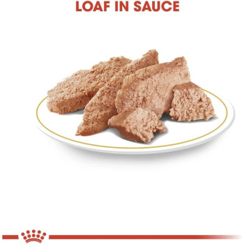 Royal Canin Breed Health Nutrition Chihuahua Adult (WET DOG FOOD - Pouches)