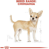 Royal Canin Breed Health Nutrition Chihuahua Adult (WET DOG FOOD - Pouches)
