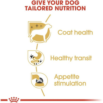 Royal Canin Breed Health Nutrition Chihuahua Adult (WET DOG FOOD - Pouches)