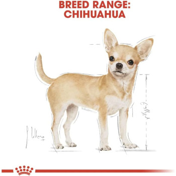 Royal Canin Breed Health Nutrition Chihuahua Adult 1.5 KG