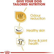 Royal Canin Breed Health Nutrition Bulldog Adult 12 KG