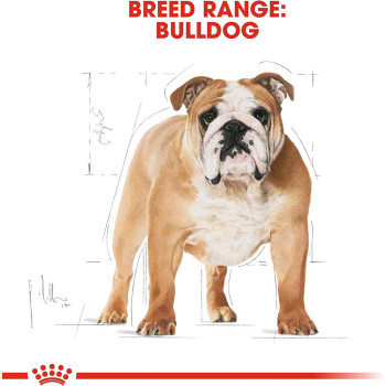 Royal Canin Breed Health Nutrition Bulldog Adult 12 KG