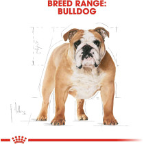 Royal Canin Breed Health Nutrition Bulldog Adult 12 KG