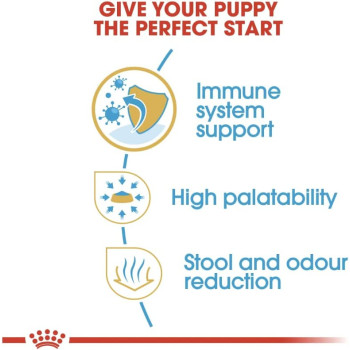 Royal Canin Breed Health Nutrition Chihuahua Puppy 1.5 KG