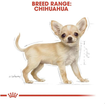 Royal Canin Breed Health Nutrition Chihuahua Puppy 1.5 KG