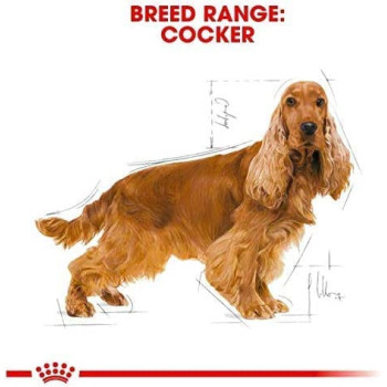 Royal Canin Health Nutrition Cocker Breed Adult Dog Food 3 KG