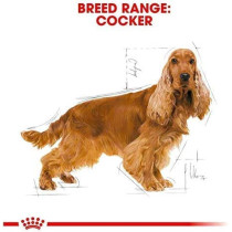 Royal Canin Health Nutrition Cocker Breed Adult Dog Food 3 KG