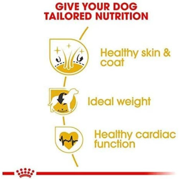 Royal Canin Health Nutrition Cocker Breed Adult Dog Food 3 KG