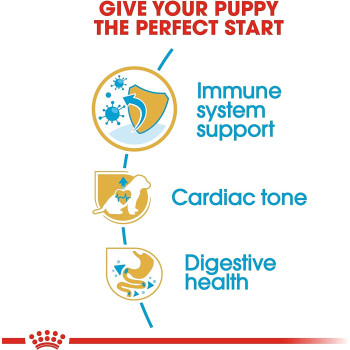 Royal Canin Breed Health Nutrition Cavalier King Charles Puppy 1.5 KG