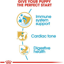 Royal Canin Breed Health Nutrition Cavalier King Charles Puppy 1.5 KG