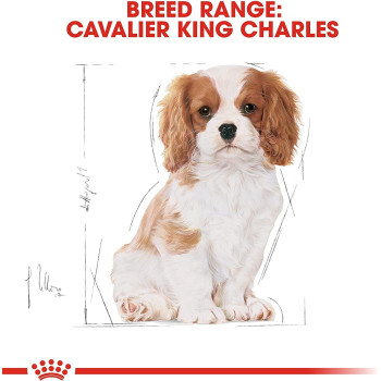 Royal Canin Breed Health Nutrition Cavalier King Charles Puppy 1.5 KG