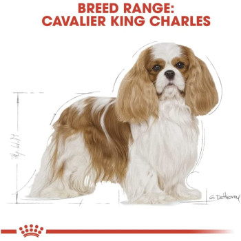 Royal Canin Breed Health Nutrition Cavalier King Charles Adult 1.5 KG