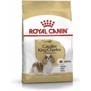 Royal Canin Breed Health Nutrition Cavalier King Charles Adult 1.5 KG