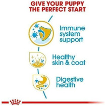 Royal Canin Breed Health Nutrition Cocker Puppy Dry Food 3 KG