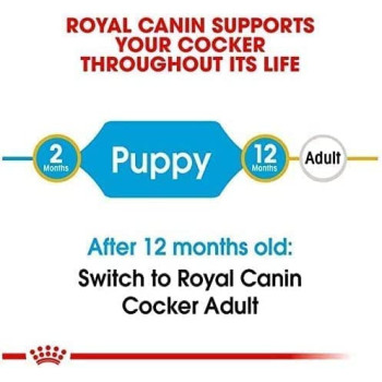Royal Canin Breed Health Nutrition Cocker Puppy Dry Food 3 KG