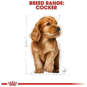 Royal Canin Breed Health Nutrition Cocker Puppy Dry Food 3 KG