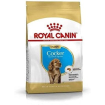 Royal Canin Breed Health Nutrition Cocker Puppy Dry Food 3 KG