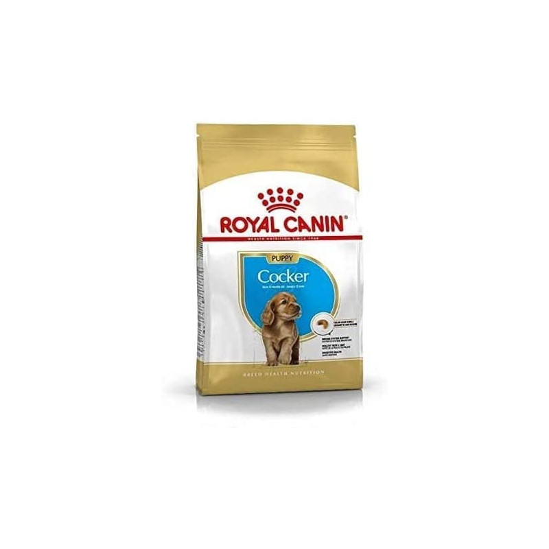 Royal Canin Breed Health Nutrition Cocker Puppy Dry Food 3 KG