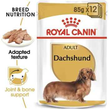 Royal Canin Breed Health Nutrition Dachshund Adult (WET DOG FOOD - Pouches)