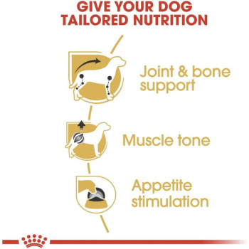 Royal Canin Breed Health Nutrition Dachshund Adult (WET DOG FOOD - Pouches)